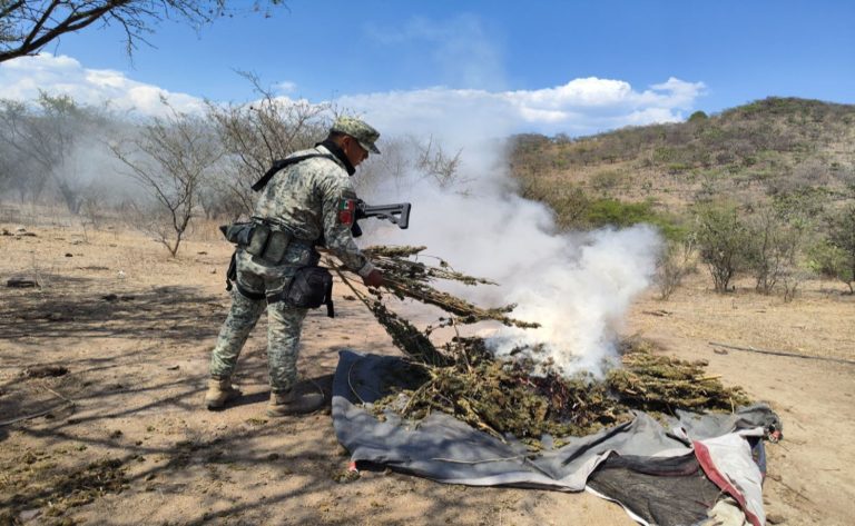 Coordinación institucional y prevención fortalecen la tranquilidad en Nayarit